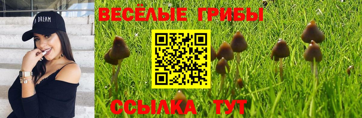 где найти   Вход с VPN  Салехард  Псилоцибиновые грибы Psilocybe  Галлюциногенные грибы GOLDEN TEACHER 
