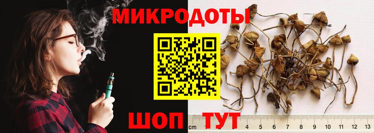 Псилоцибиновые грибы мицелий Салехард